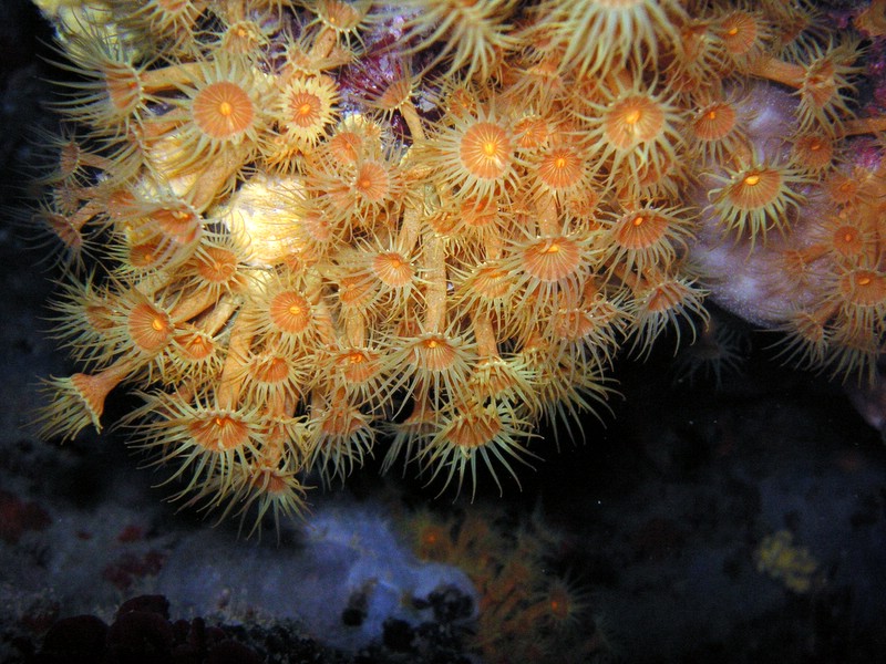 ElbaGian_061210 (1).JPG