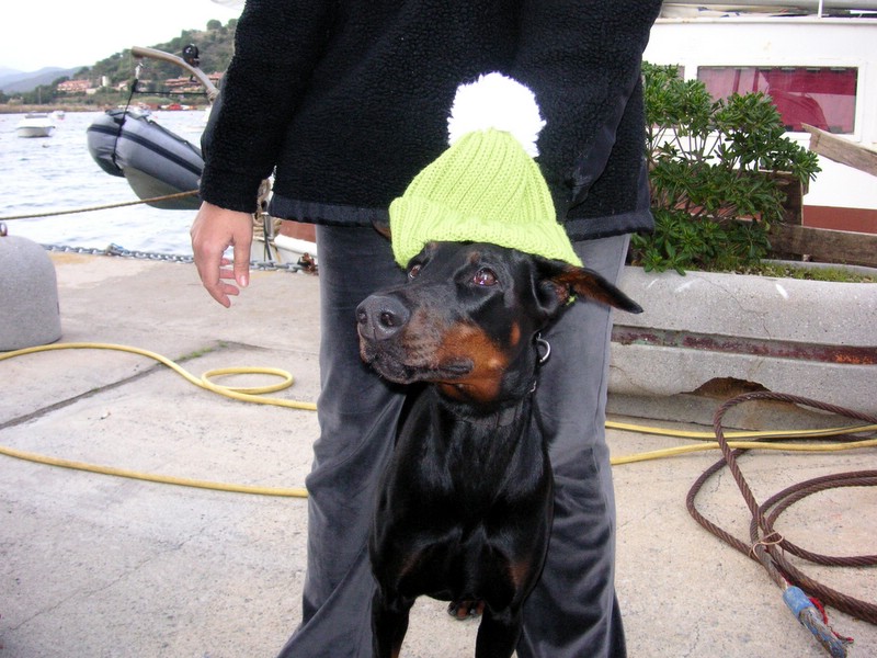 ElbaGian_061210 (25).JPG