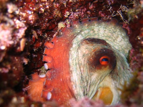 croazia_2006 076.jpg