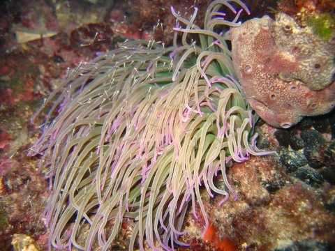 croazia_2006 078.jpg