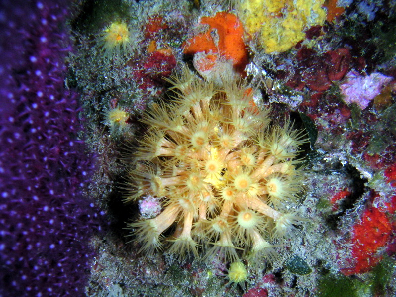 070602_portofino (5).JPG