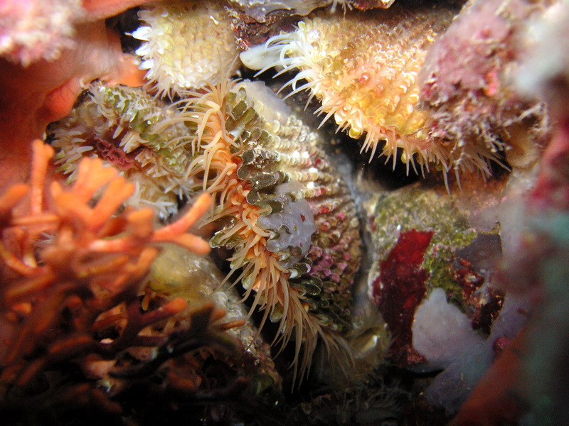 portofino_gian_070603 (50).JPG